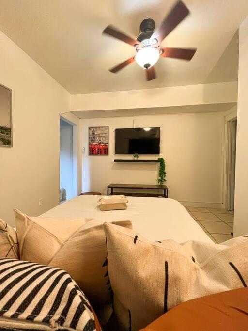Cozy 1-bedroom In Apartamento